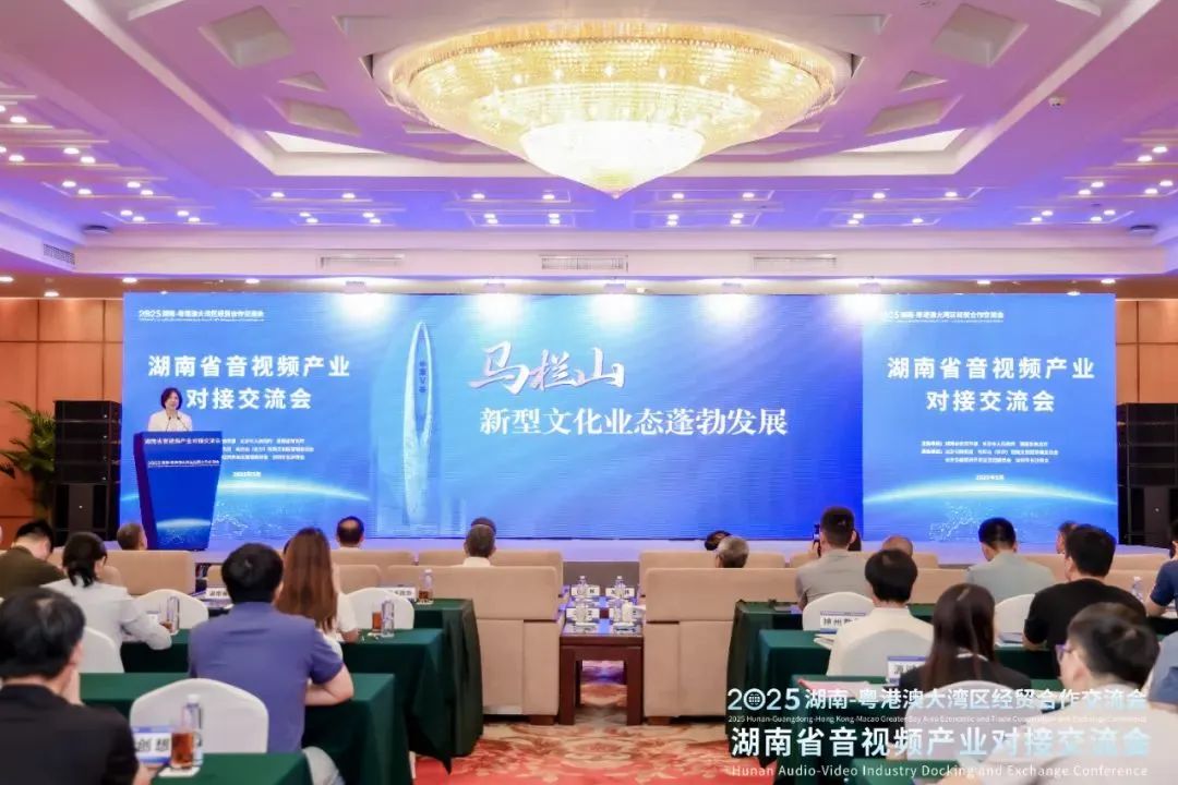 湘粤港携手共谱音视频产业新华章&mdash;&mdash;湖南省音视频产业对接交流会在深圳成功举办